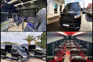 Hotell Aten till kryssningshamnen i Pireus VIP Mercedes Minibus