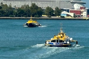 Athens: Hydrofoil Journey between Athens and Agistri Island