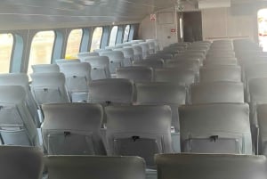 Athens: Hydrofoil Journey between Athens and Agistri Island