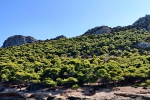 Athens: Hydrofoil Journey between Athens and Agistri Island