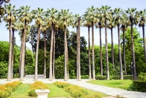 Athens Instagram Tour: The Most Scenic Spots