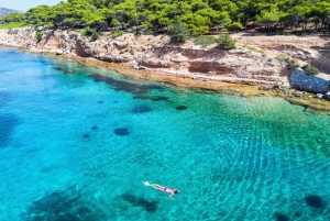 Athens: Island Cruise with Lunch & Hop-On Hop-Off Bus Ticket