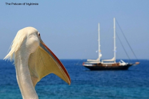 Atene: Giro delle isole a Santorini, Naxos e Mykonos