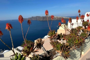 Atene: Giro delle isole a Santorini, Naxos e Mykonos
