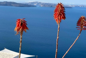 Atene: Giro delle isole a Santorini, Naxos e Mykonos