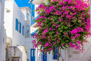 Atene: Giro delle isole a Santorini, Naxos e Mykonos