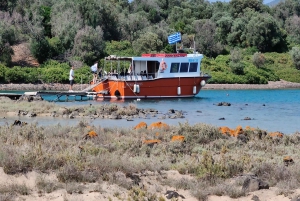 Athen: Strandtag auf den Lichadonisia-Inseln mit kurzer Bootsfahrt