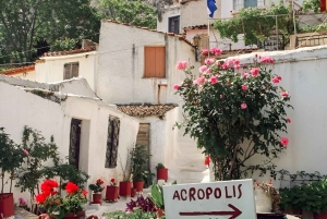 Athens: Local Market, Wine Tasting, and Ancient Sights Tour