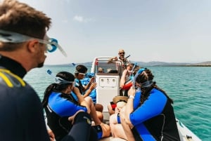 Athens: Marathon Cape and Bay of Schinias Snorkeling Trip