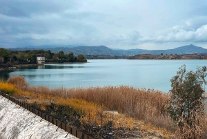 アテネマラソン湖、博物館、シャイニアス・ビーチ日帰りツアー