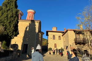 Atenas: Viagem de um dia de comboio a Meteora com almoço opcional