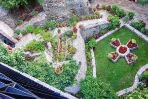 Athens: Meteora Day Trip in Spanish with Live Guide & Lunch