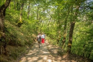 Athen: Meteora-klostrene, eremittgrottene og utflukter til kysten