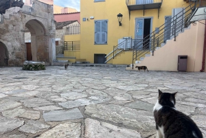 Ateena: Kreikan modernin kulttuurin museo Pääsylippu