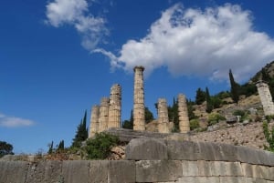 Athènes : Visite privée de Delphes et ses mystères
