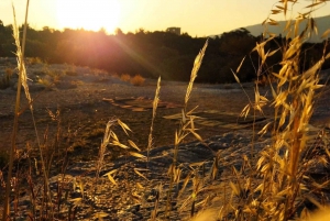 Athens mytiske yoga og meditasjon ved soloppgang og solnedgang