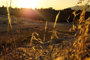 Aten Mytisk Yoga & Meditation Soluppgång & Solnedgång