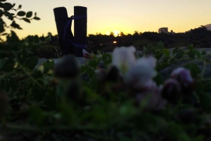 Aten Mytisk Yoga & Meditation Soluppgång & Solnedgång