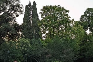 Athènes : Visite en Segway de 2 heures du Jardin National