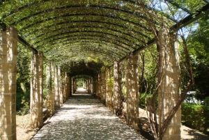 Aten: National Garden 2-timmars segway-tur