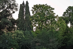 Aten: National Garden 2-timmars segway-tur