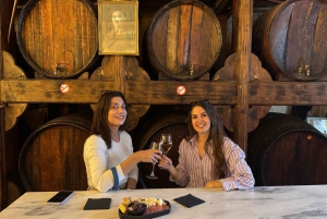 Atenas: tour a pie nocturno y cata de vino