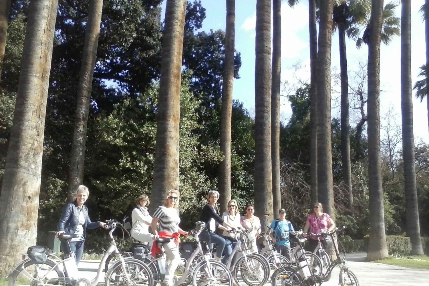 Aten: Elektrisk sykkeltur i gamlebyen med lokale mezes