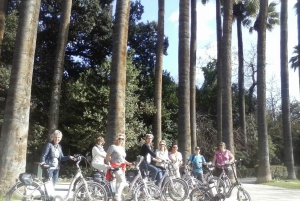 Aten: Elektrisk sykkeltur i gamlebyen med lokale mezes