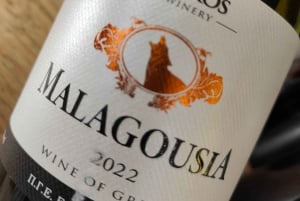 Cidade Velha de Atenas: Prova de vinhos à base de uvas da Grécia Antiga