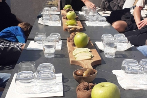 ''Athens Olive Oil Tasting''