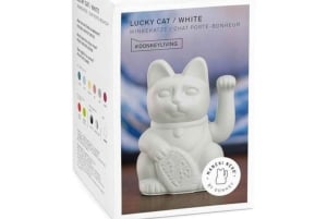 Aten: Måla din egen Maneki Neko på Cat Cafe