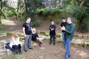 Athene: Filosofie Experience in Plato's Academie Park