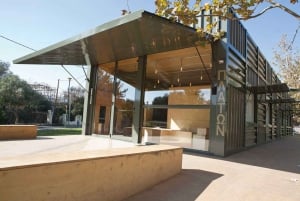 Ateena: Filosofian kokemus Platonin akatemian puistossa