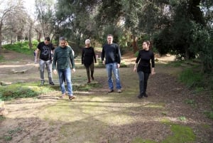 Ateena: Filosofian kokemus Platonin akatemian puistossa