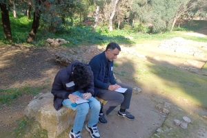 Ateena: Filosofian kokemus Platonin akatemian puistossa