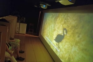 Ateena: Filosofian kokemus Platonin akatemian puistossa