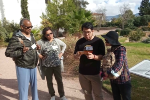 Athen: Philosophie-Erlebnisworkshop im Aristoteles-Lyzeum