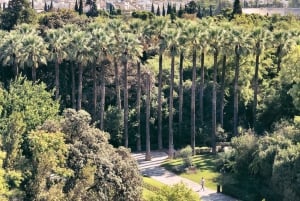 Athens: Plaka, Agora & Panathenaic Stadium Tour