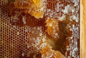 Athens: Premium Greek Honey Tasting