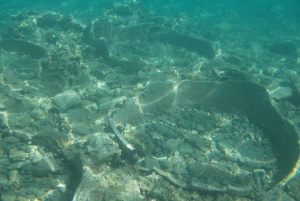 Athens: Private Cruise to Aegina and Sunken City