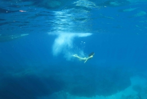 Ateny: prywatny rejs z nurkowaniem i pływaniem