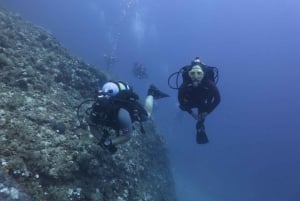 Aten: Privat Discover Scuba Diving för nybörjare