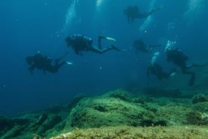 Aten: Privat Discover Scuba Diving för nybörjare