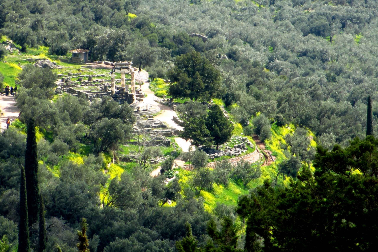 Athens: Private Divine Delphi Family Excursion