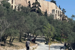 Athene privé dagvullende tour