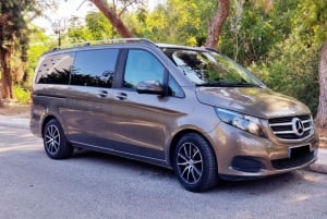 Tour privato esclusivo di un giorno con guida autorizzata ad Atene
