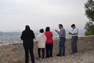 Athens: Private Tour for a Full or Half Day with Driver