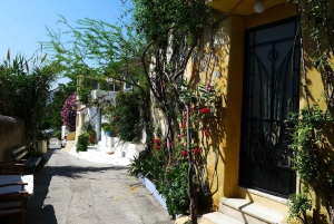 Atene: Tour privato con ingresso prioritario all'Acropoli