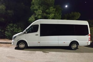 Atenas: Tour particular com serviço de busca em cruzeiro e guia opcional