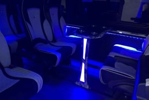 Athènes : Visite privée avec prise en charge de la croisière et guide optionnel